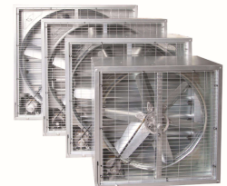 ��֪����ʲôؓ���L�C���a(ch��n)�������